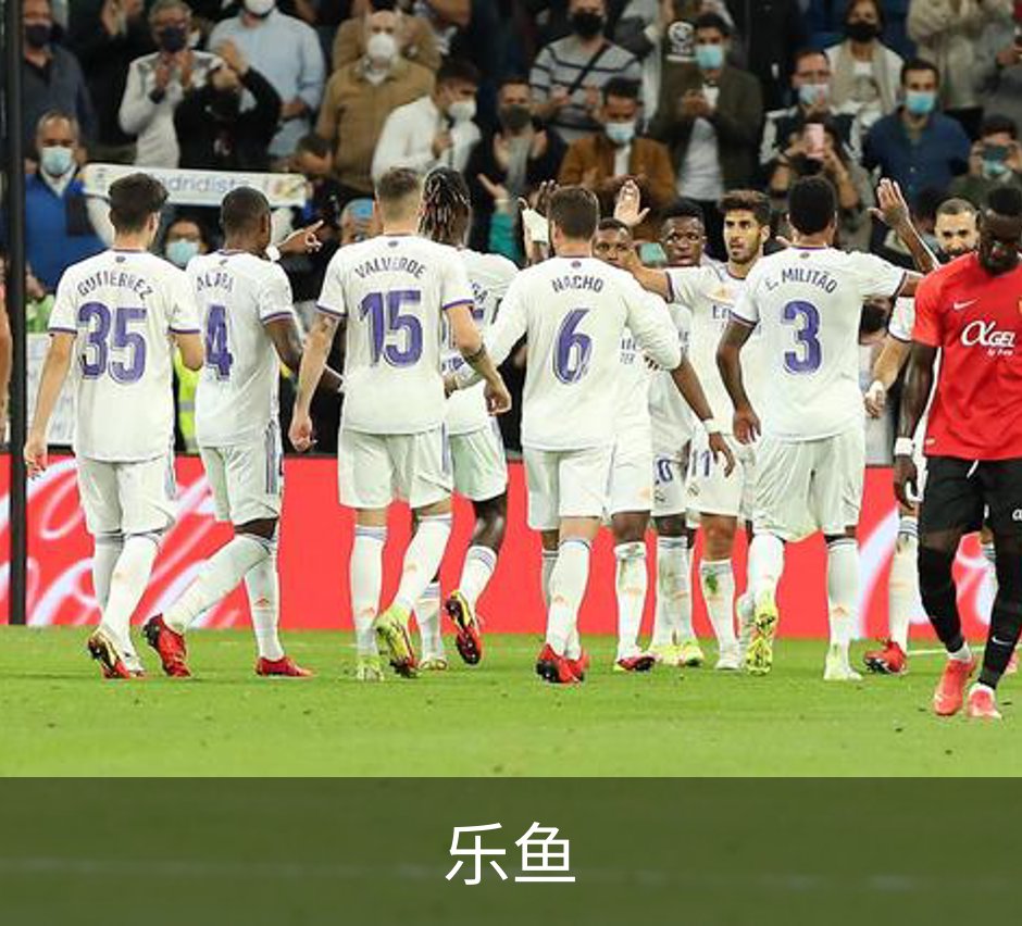 乐鱼简介