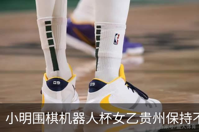 小明围棋机器人杯女乙贵州保持不败 内蒙古领跑丙组